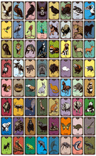 画像をギャラリービューアに読み込む, アニマルメディスン カード Animal Medicine Cards 解説本（カード付き）

