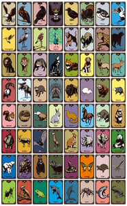 アニマルメディスン カード Animal Medicine Cards 解説本（カード付き）